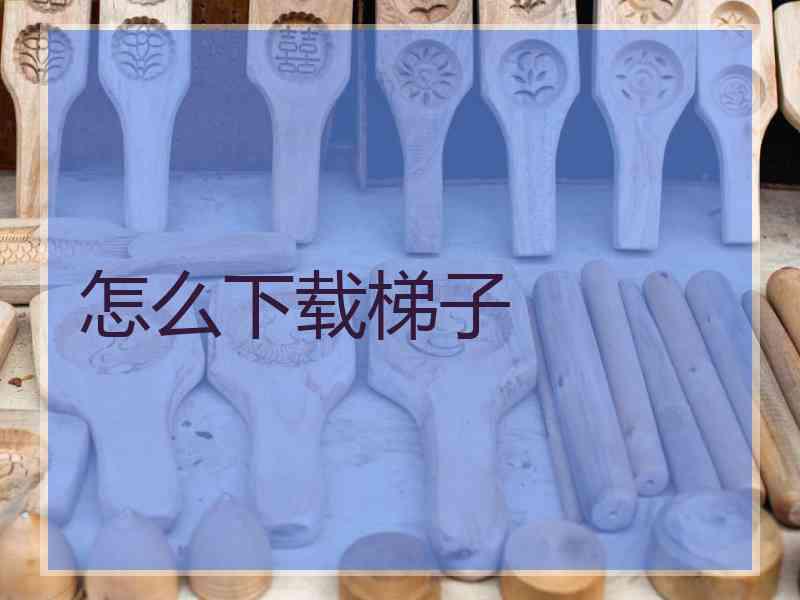 怎么下载梯子