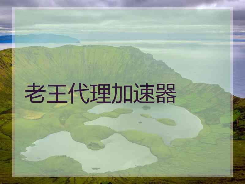 老王代理加速器