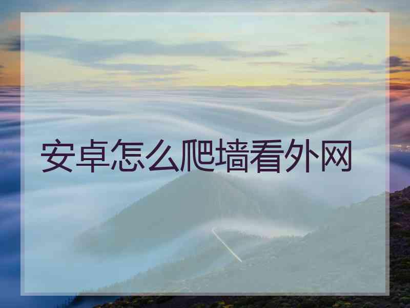 安卓怎么爬墙看外网