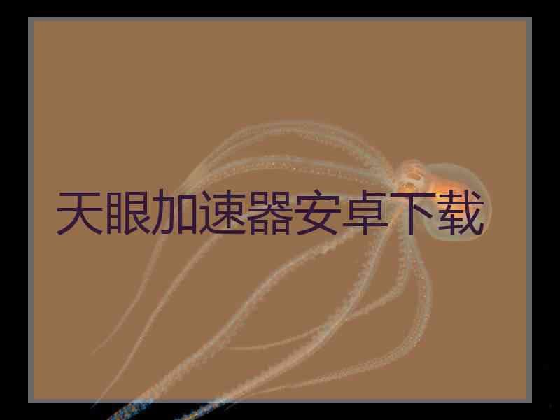 天眼加速器安卓下载