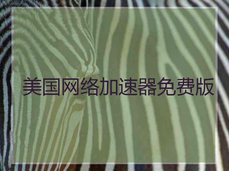 美国网络加速器免费版