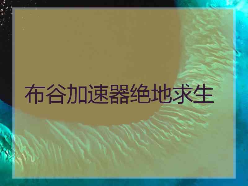 布谷加速器绝地求生