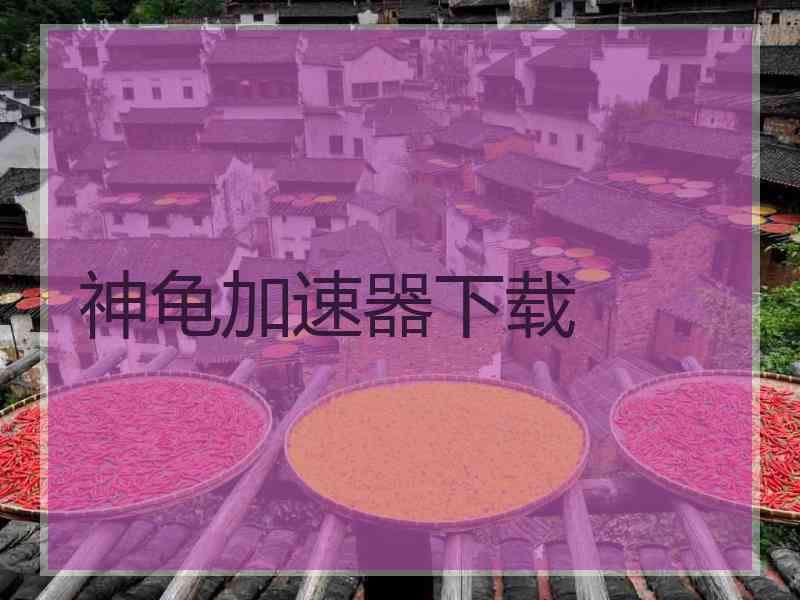 神龟加速器下载