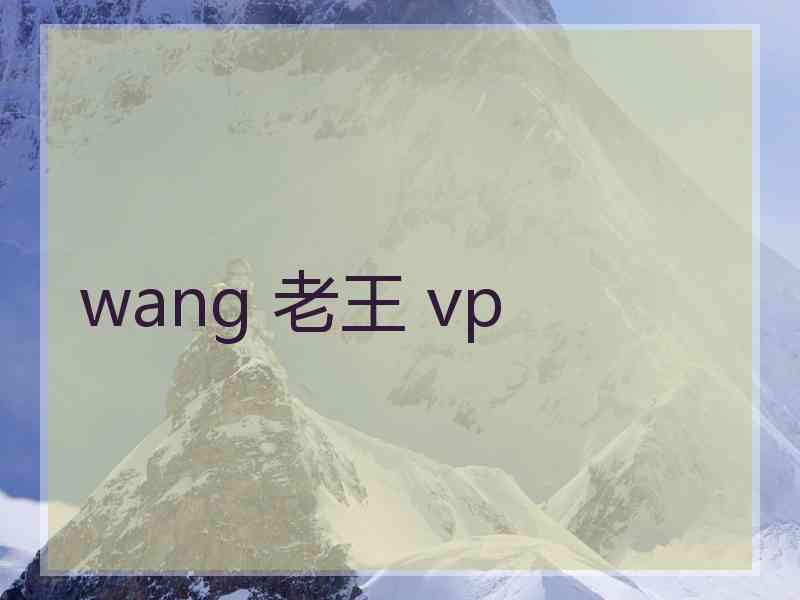 wang 老王 vp