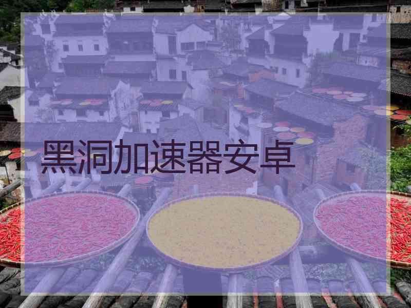 黑洞加速器安卓