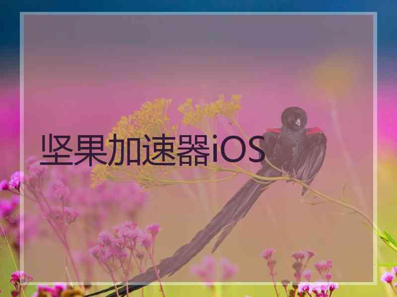 坚果加速器iOS