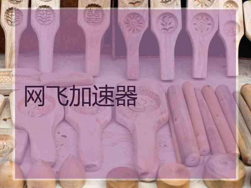 网飞加速器