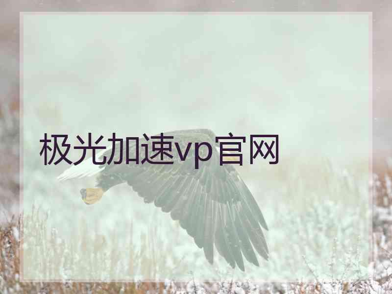极光加速vp官网