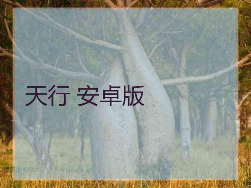 天行 安卓版