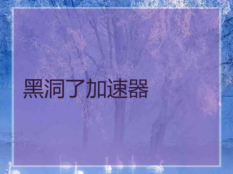 黑洞了加速器