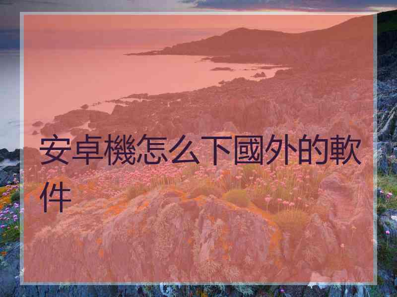 安卓機怎么下國外的軟件