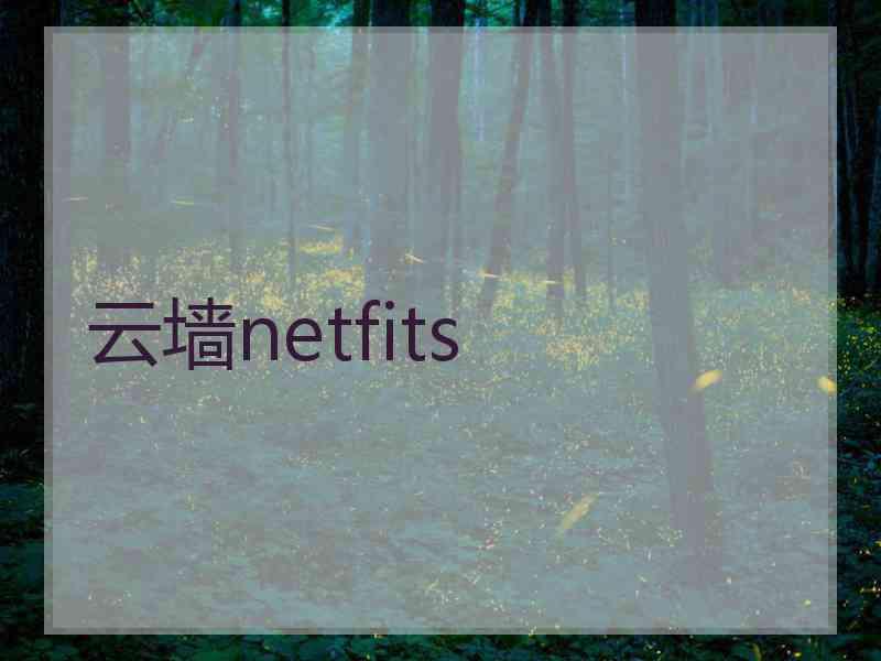 云墙netfits