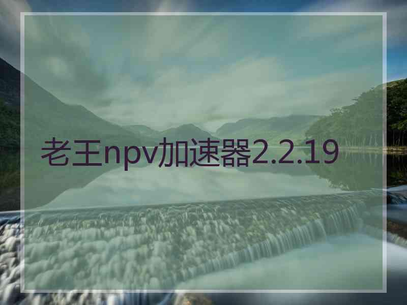 老王npv加速器2.2.19