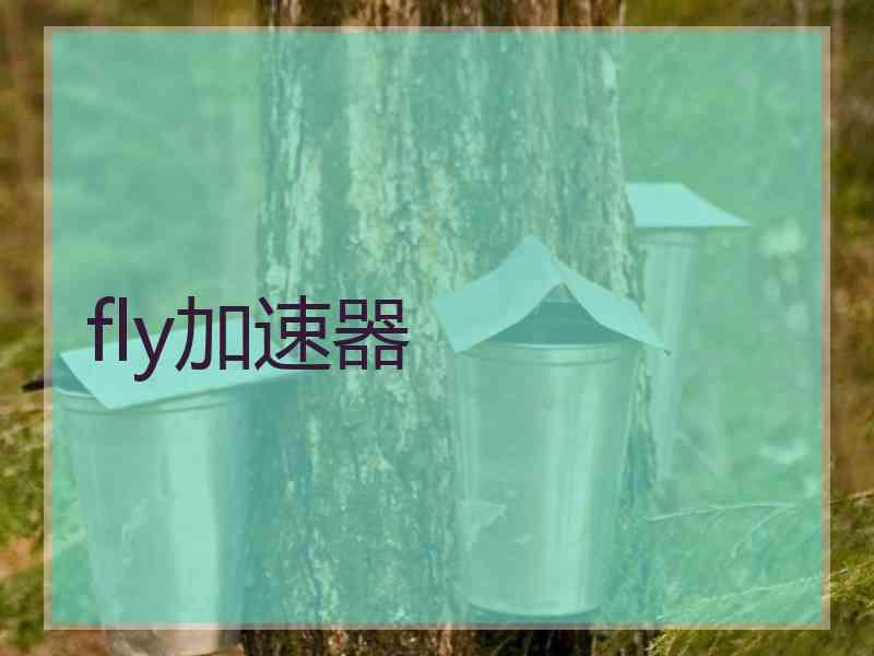 fly加速器