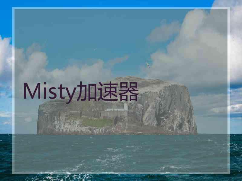 Misty加速器