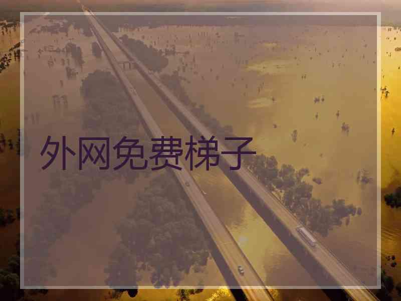 外网免费梯子