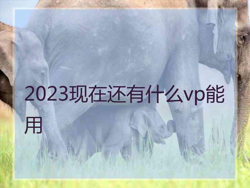 2023现在还有什么vp能用