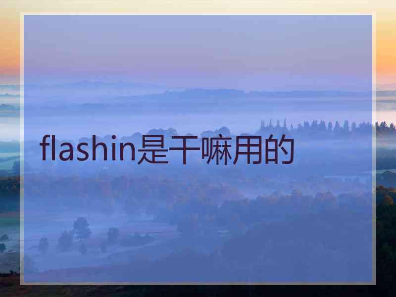 flashin是干嘛用的