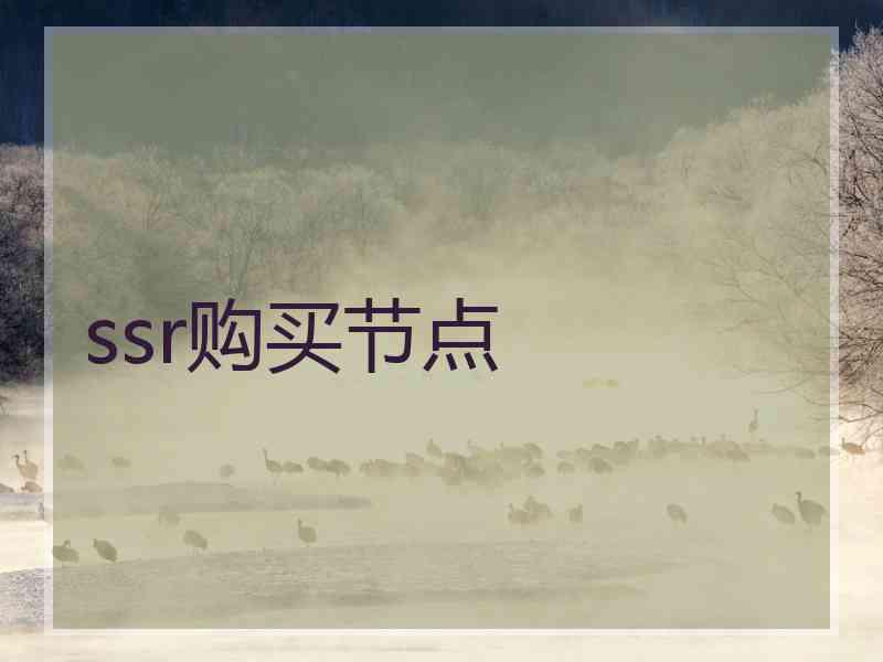 ssr购买节点
