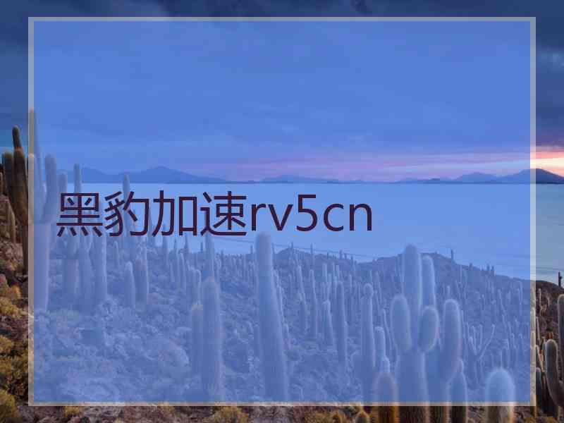 黑豹加速rv5cn