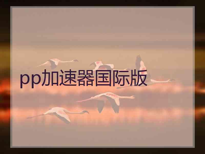 pp加速器国际版