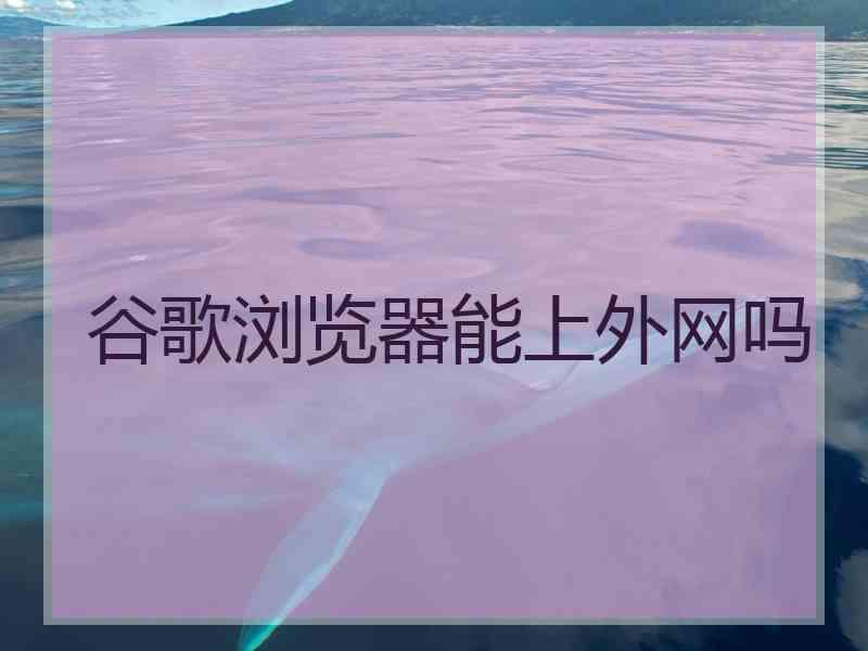 谷歌浏览器能上外网吗