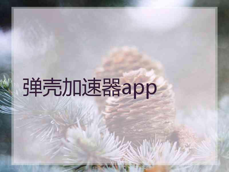弹壳加速器app