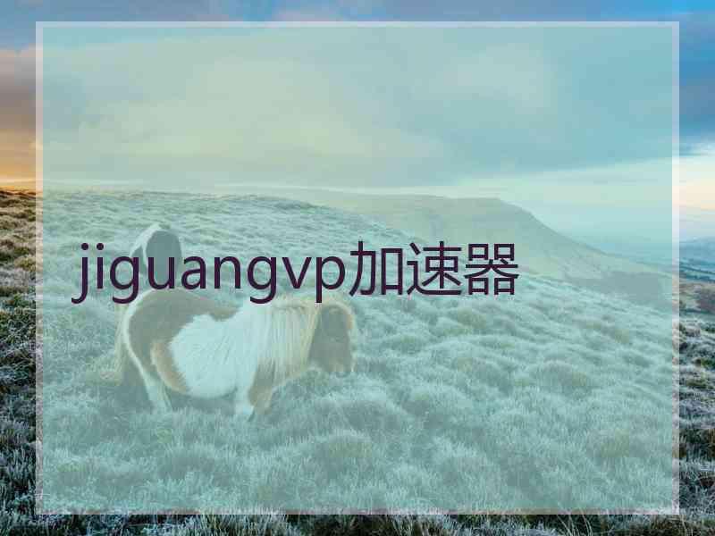 jiguangvp加速器