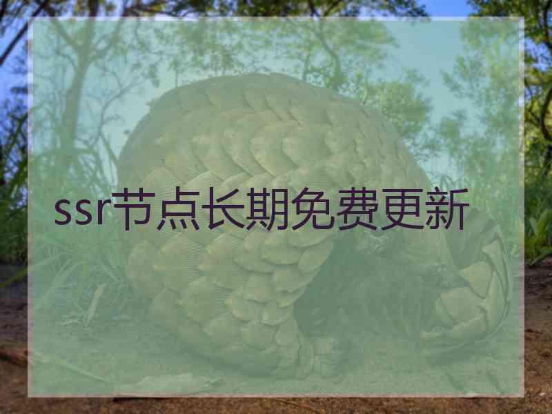 ssr节点长期免费更新