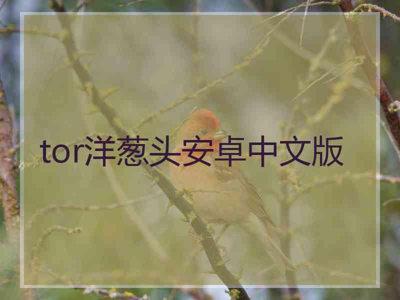 tor洋葱头安卓中文版