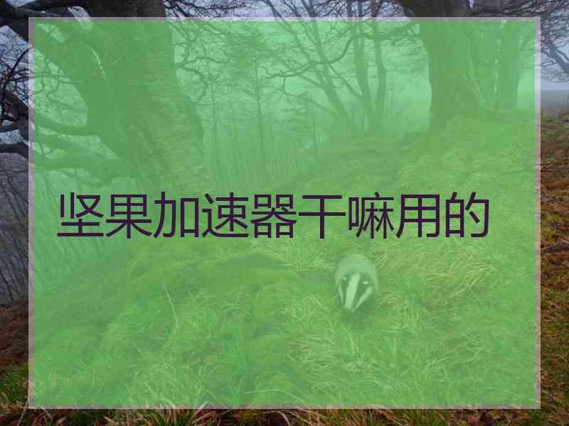 坚果加速器干嘛用的
