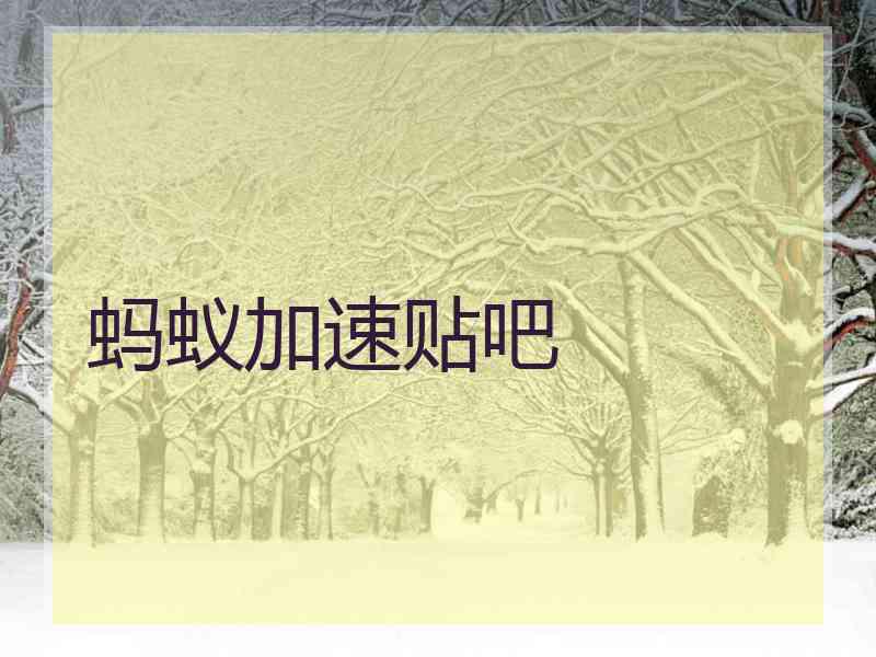 蚂蚁加速贴吧